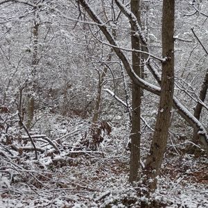 Meet your Posher, Marti